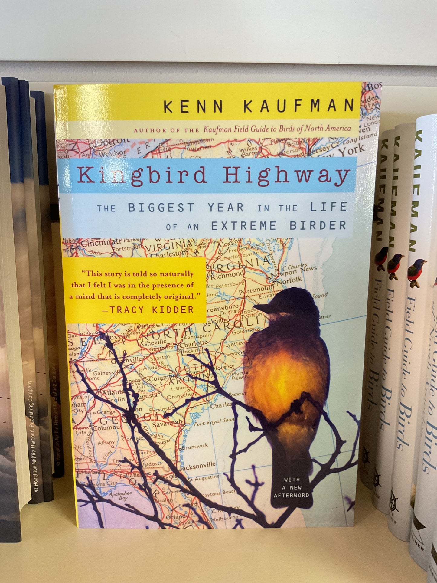 Kingbird Highway
