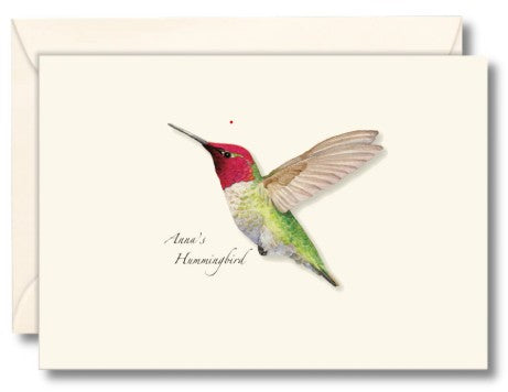 Anna's Hummingbird Note Cards