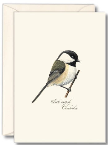 Black-capped Chickadee Note Cards