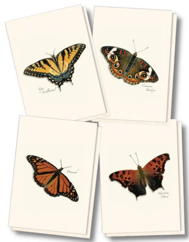 Butterfly Assortment Note Card