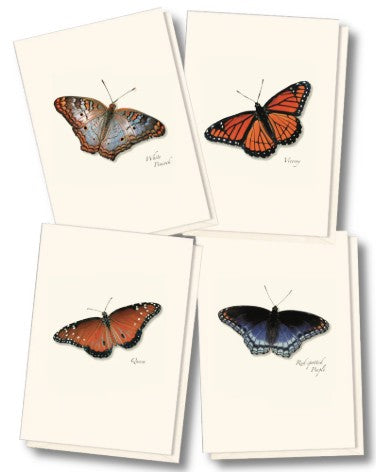 Butterfly Assortment II Note Cards