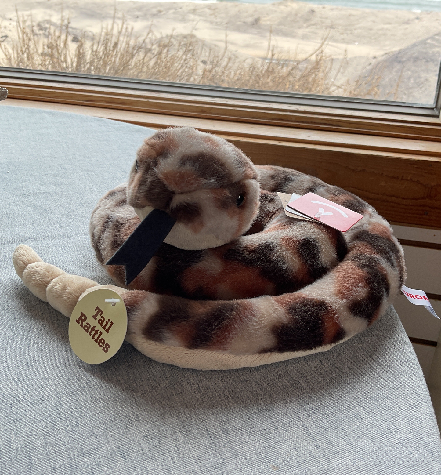 Ruse Rattlesnake with Rattle in Tail