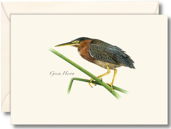 Green Heron Note Cards
