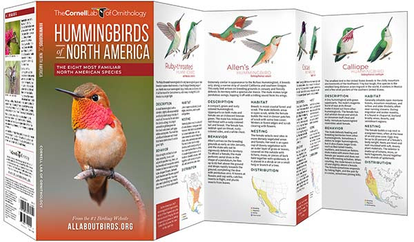 Hummingbirds of North America Pocket Guide