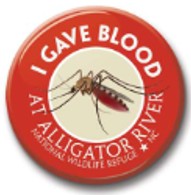 See Saw Badge I Gave Blood