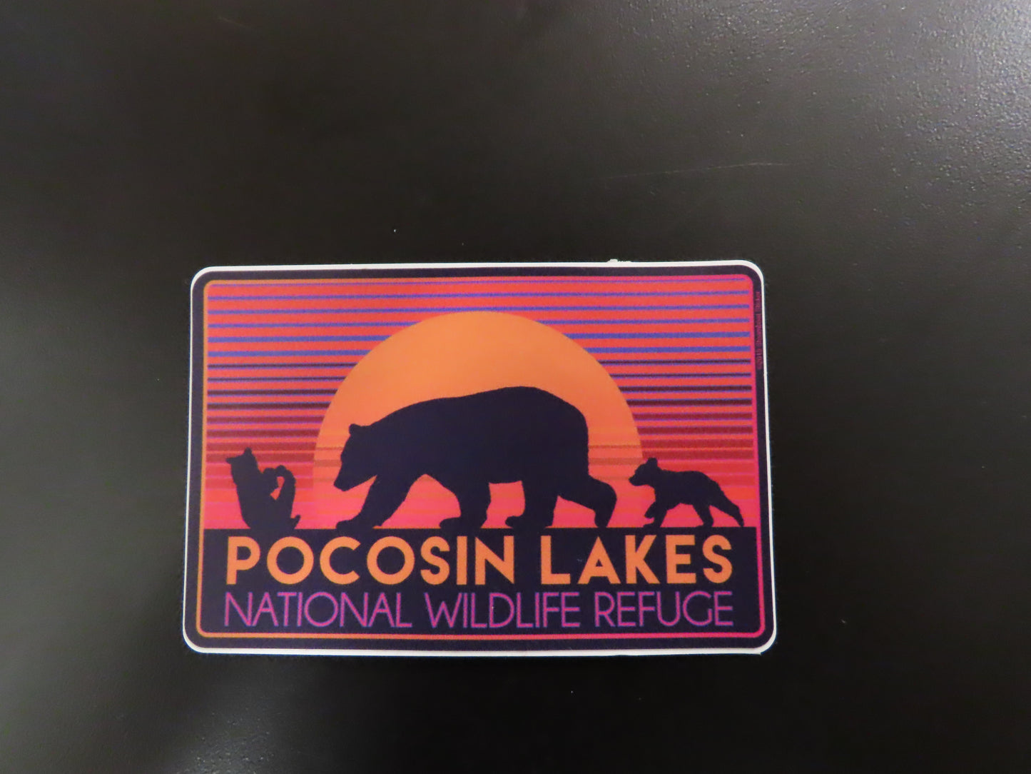 Pocosin Lakes NWR Bears Decal
