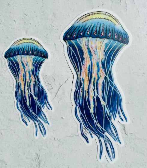 Stephanie Kiker Jellyfish Decal - Large
