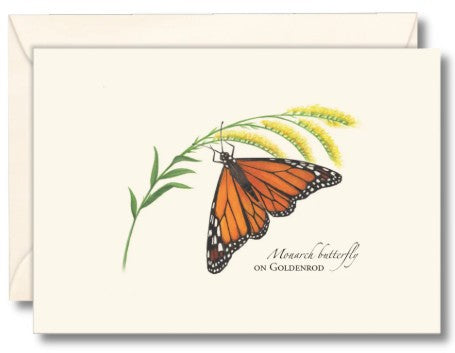 Monarch Butterfly on Goldenrod Note Card