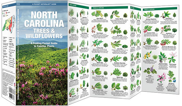 North Carolina Trees and Wildflowers Pocket Guide