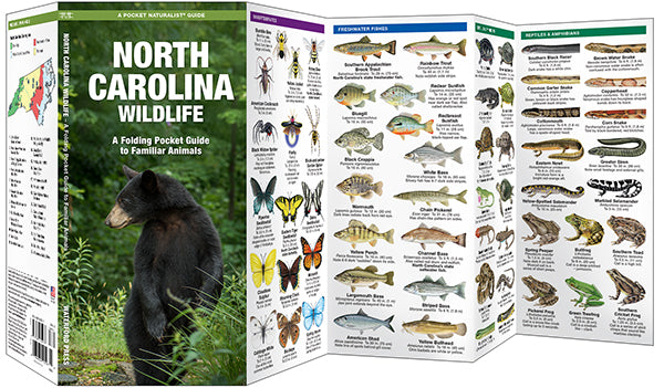 NC Wildlife Pocket Guide