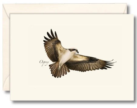 Osprey Note Cards