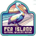 Pea Island National Wildlife Refuge Pelican Sunset Vinyl Sticker
