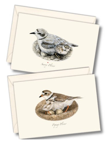 Plover Assortment Note Cards
