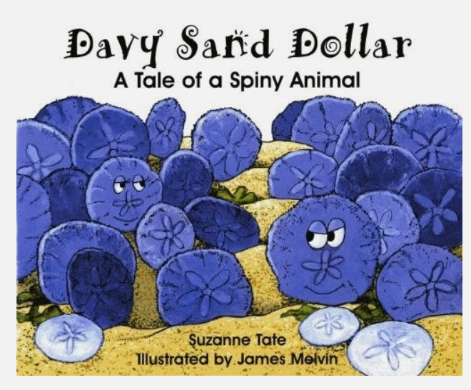 ST Davy Sand Dollar