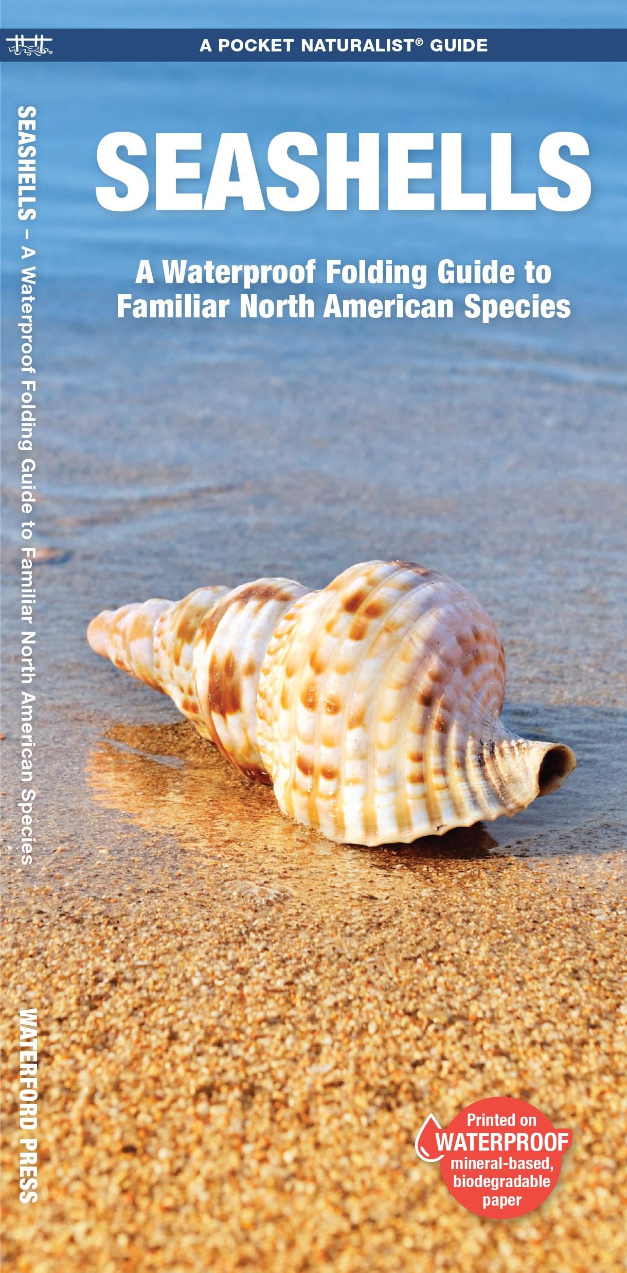 Seashells Folding Guide