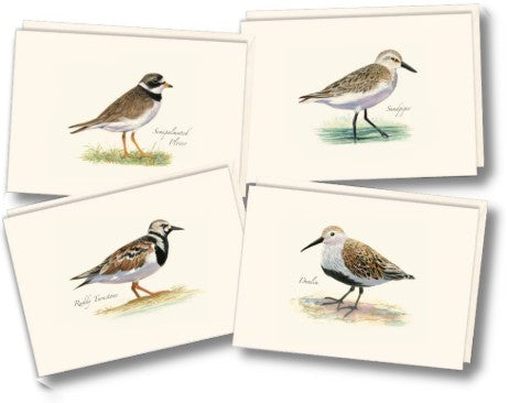 Shorebird Assortment II Note Cards