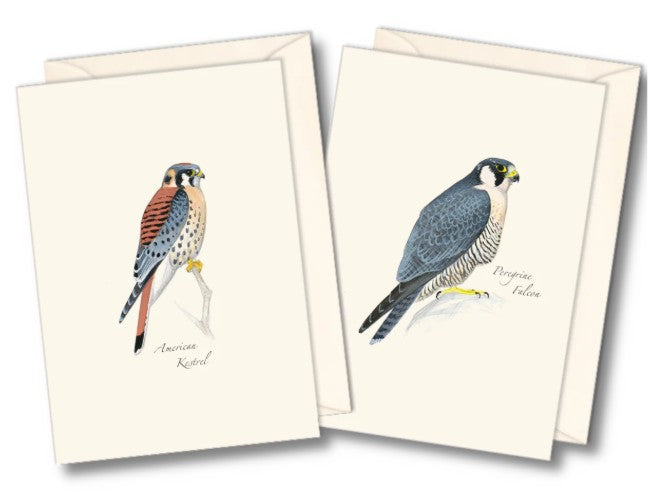 Sibley Raptor Assortment Note Card