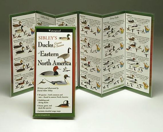 Sibley's Duck Geese and Swans Pocket Guide