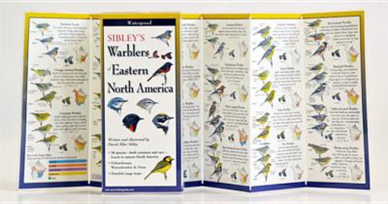 Sibley's Warblers of Eastern North America Folding Guide