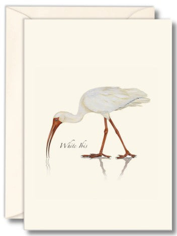 White Ibis Note Cards
