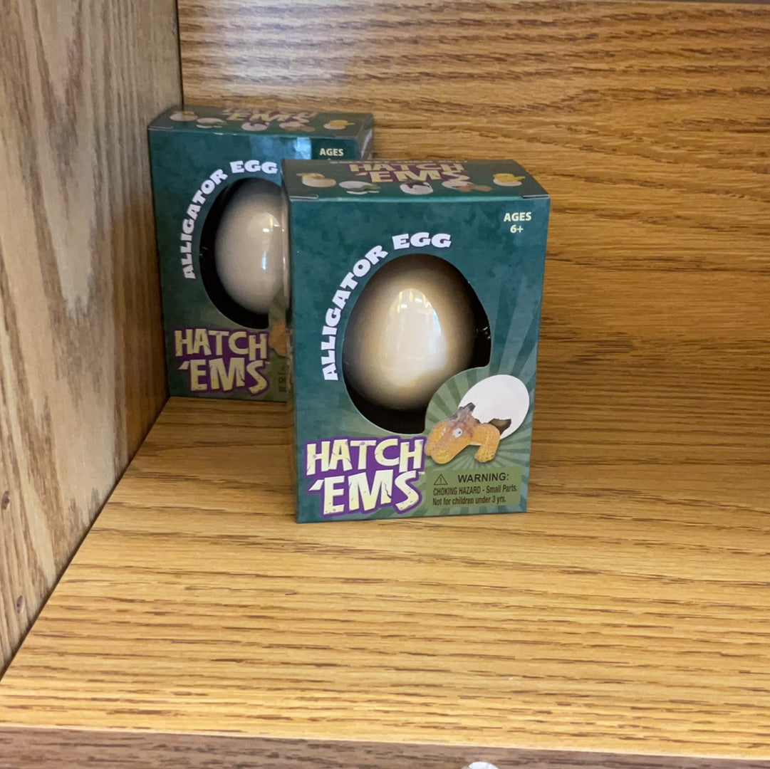 Alligator Hatch 'Ems