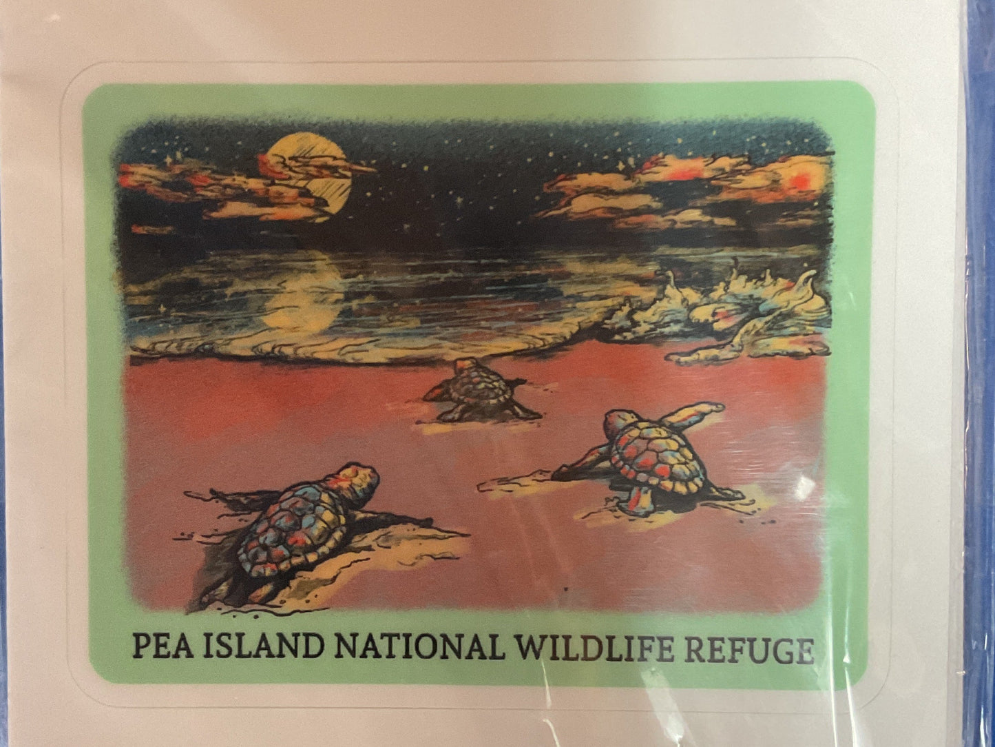 Pea Island NWR turtle decal