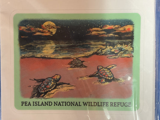 Pea Island NWR turtle decal