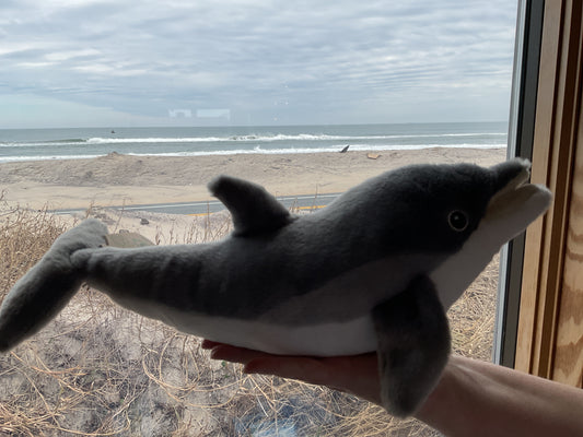 Dolphin (Eco-Nation Plush)