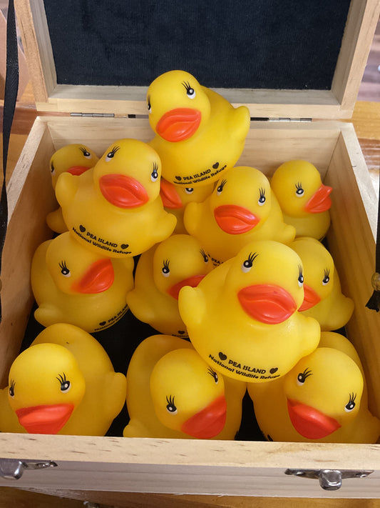 Pea Island Rubber Duck