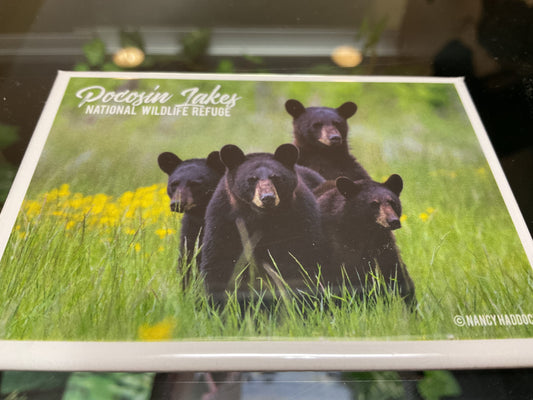 Pocosin Bear Family Magnet