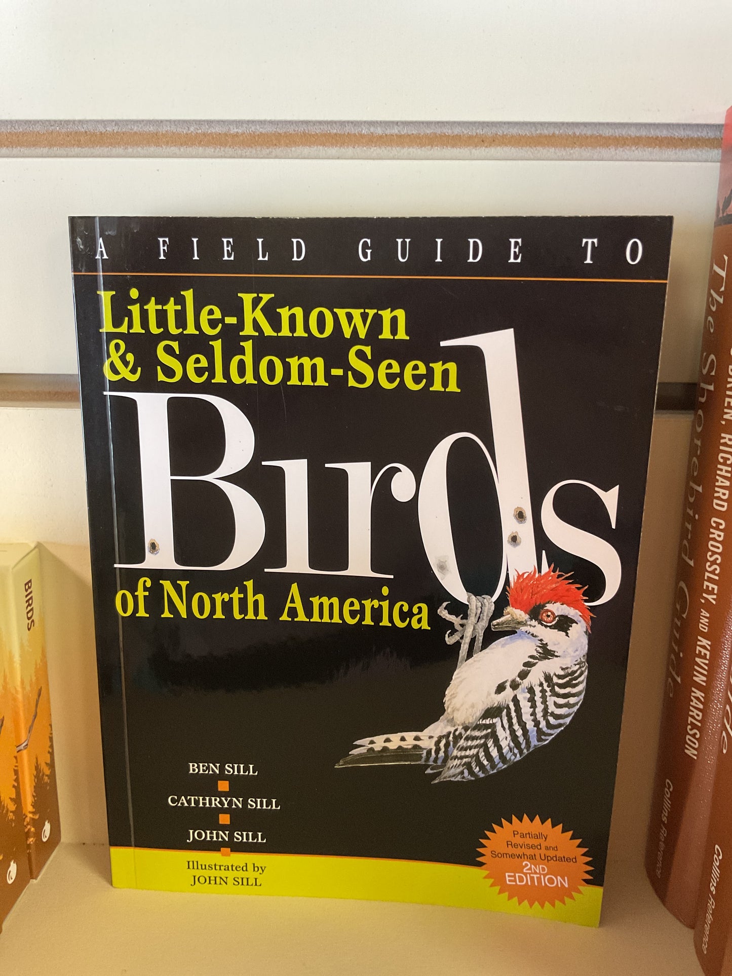 Little Known and Seldom Seen Birds of North America