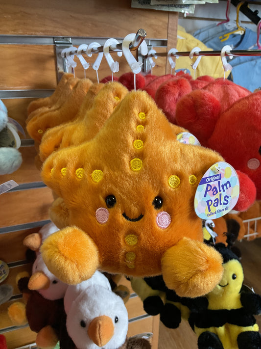 Starfish Palm Pal