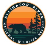 Alligator River NWR Bear in the Pines Mini Sticker