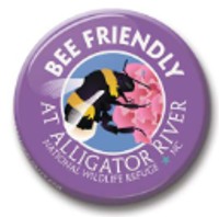 See Saw Badge Bee Friendly