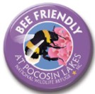 See Saw Bee Friendly at Pocosin Lakes NWR Button