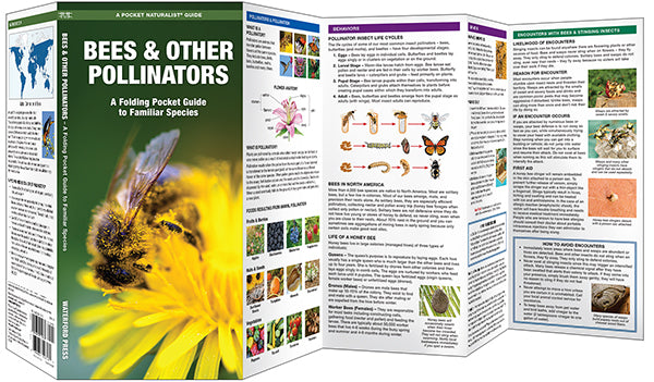 Bees and Other Pollinators Pocket Guide
