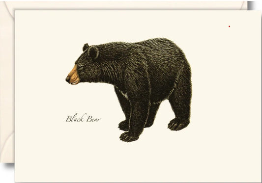 Black Bear Note Cards