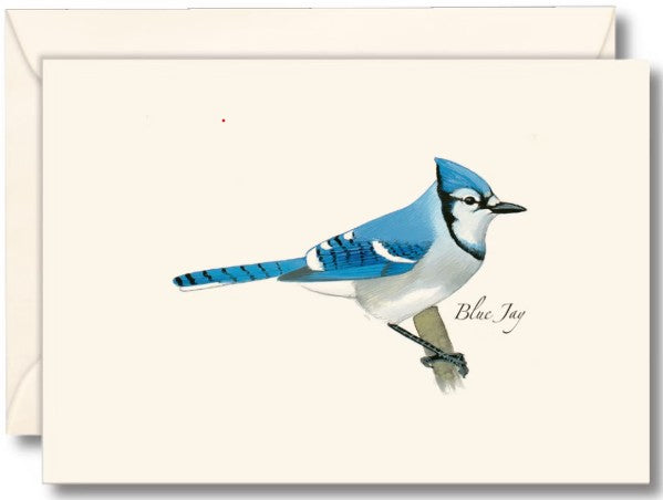 Blue Jay Note Cards