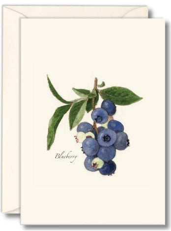 Blueberry Notecards