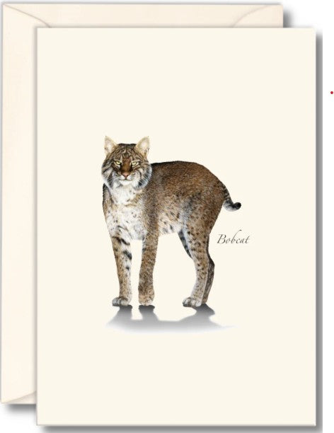 Bobcat Note Cards