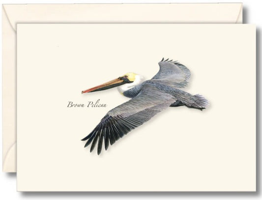 Brown Pelicans Note Cards