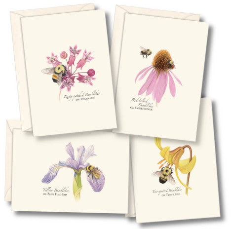 Bumblebee Assortment Note Cards
