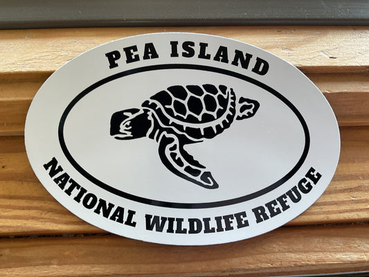 PI Oval Loggerhead Magnet