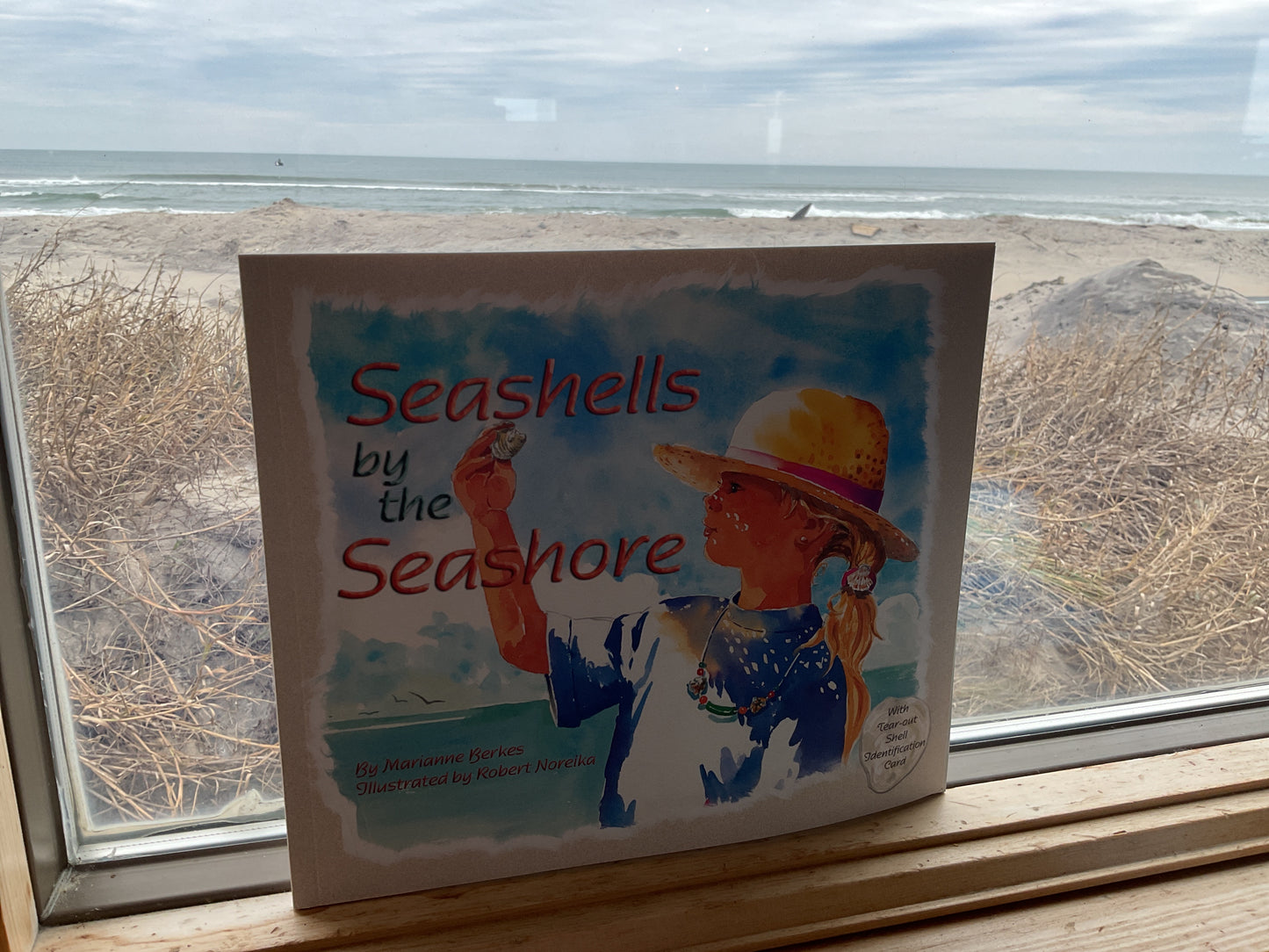 Seashells by the Seashore