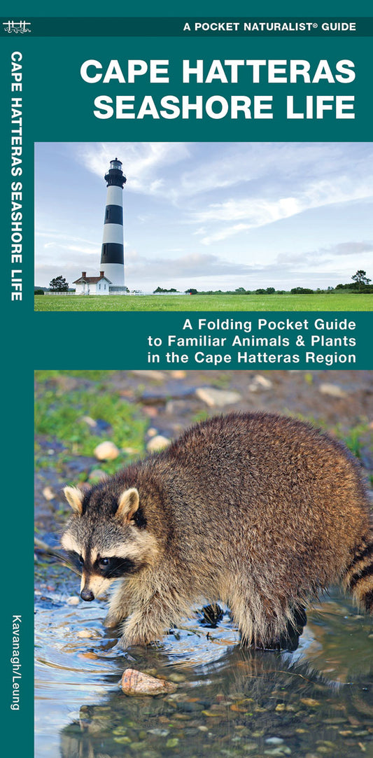 Cape Hatteras Seashore Life Pocket Guide