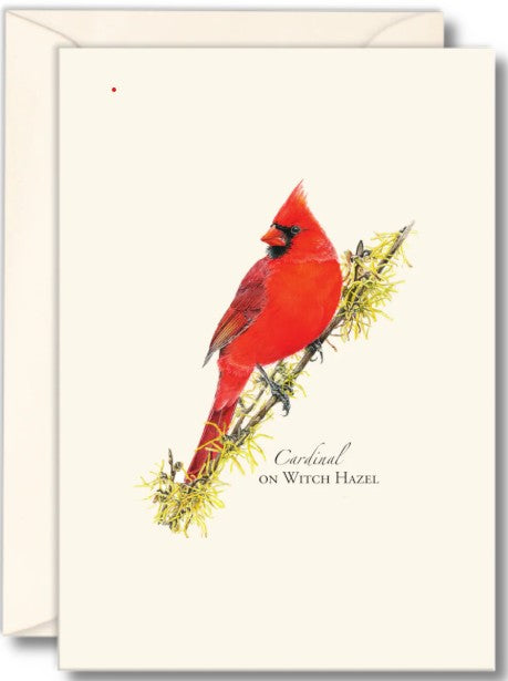 Cardinal on Witch Hazel Note Card