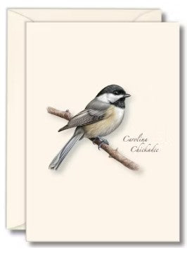 Carolina Chickadee Note Cards