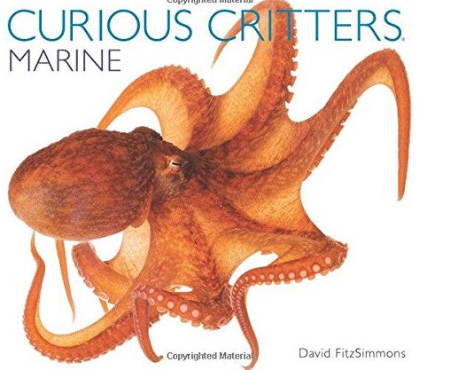 Curious Critters Marine by David FitzSimmons