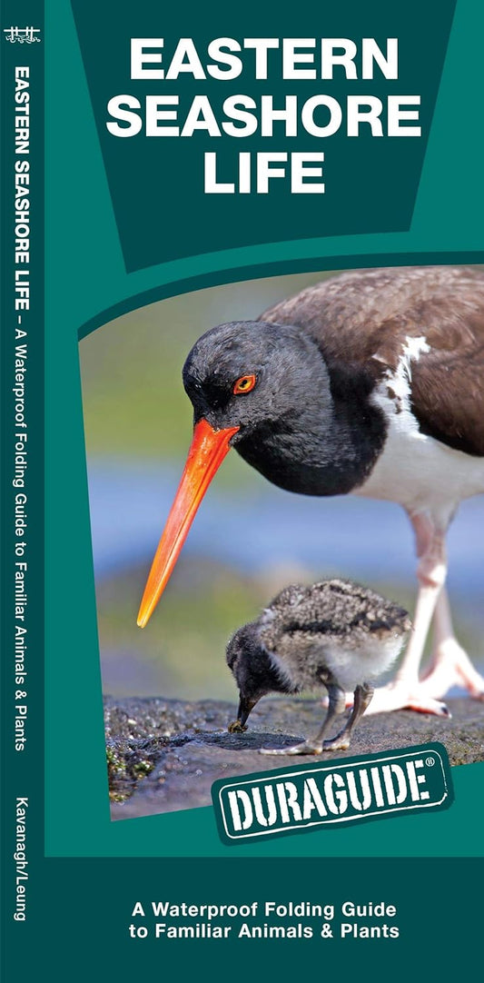 Eastern Seashore Life Pocket Guide
