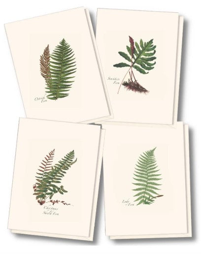 Fern Assortment Note Cards